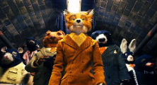 t@^XeBbN Mr.FOX